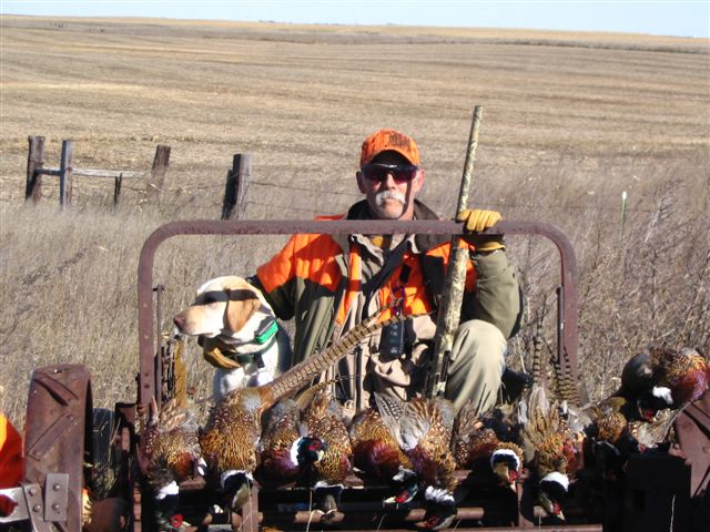 Pheasant Hunting in South Dakota