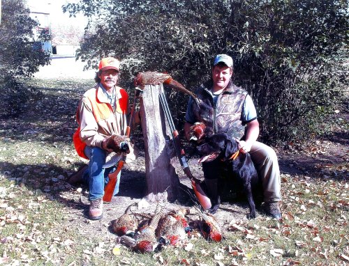 Pheasant Hunting in South Dakota